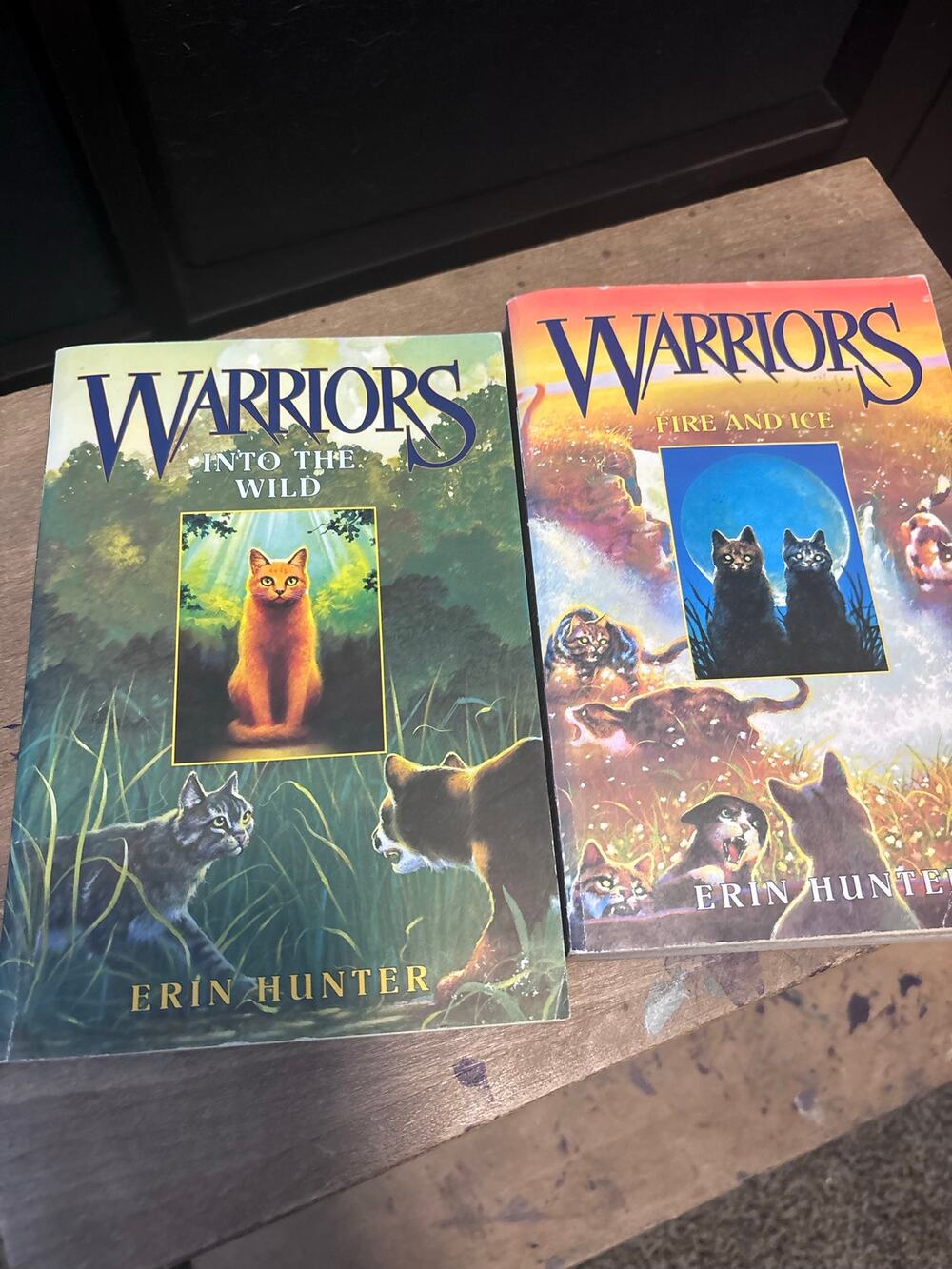Warriors Books : Volume 1 and 2